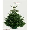 Stovas eglutei SELECT 3.5 (iki 3,5m)