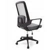 Ergosolid Ergonomiška Biuro Kėdė Pasukama Kėdė AMO-70