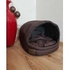 Odol Plush Guolis Šuniui Katei SHIH - TZU 3NC