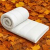 Sleepingzone Antklodė ir pagalvė 140x200 70x80 Rudeninis purus visų sezonų Premium komplektas