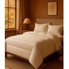 Sleepingzone Antklodė ir pagalvė 140x200 70x80 Rudeninis purus visų sezonų Premium komplektas