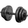 2 Tytan mankštos hanteliai 2x10kg