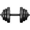 2 Tytan mankštos hanteliai 2x10kg