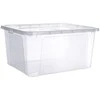 20 l talpos talpa