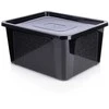 20 l talpos talpa