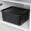 20 l talpos talpa