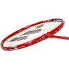 ALUMTEC 5566 BADMINTONO RINKINYS RAUDONAS + MĖLYNAS 4 Vnt. + langinės 3 Vnt.