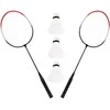 BADMINTONO RINKINYS ENERO 101 DĖKLĖJE