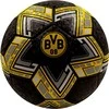 BORUSSIA DORTMUND FUTBOLO METAI 5