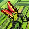 BUTTERFLY KITE 88x78CM Rožinis Geltonas ENERO