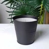 Citronella Mosquito žvakė 10,5x10 cm