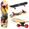 CR3108SA CALIFORNICATION RIEDLENTE NILS EXTREME