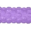 FS107 PURPURINIS 31,5 CM FITNESS ROLLER / ROLER HMS