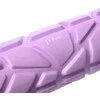 FS119 PURPURINIS 30 CM FITNESS ROLLER / HMS ROLLER