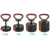 KOMPOZICINIS hantelis KETTLEBELL 10 KG (4X2.5KG) EB FIT