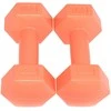 KOMPOZICINIS Hantelių RINKINYS 2X1 KG EB FIT