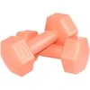 KOMPOZICINIS Hantelių RINKINYS 2X1 KG EB FIT