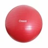 MASTER Super Ball gimnastikos kamuolys 75 cm su pompa