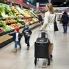 NC17106 PIRKINIŲ VEŽIMAS 40L Juodas NLS STOVYKLA