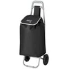 NC17106 PIRKINIŲ VEŽIMAS 40L Juodas NLS STOVYKLA