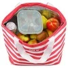 NC3100 Raudonas THERMAL BAG 32L NILS
