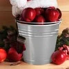 Nerūdijančio plieno maisto kibiras 5 l