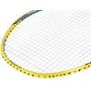 NR419 CARBON / BADMINTON ROCKET + NILS COVER