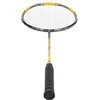 NR419 CARBON / BADMINTON ROCKET + NILS COVER