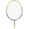 NR419 CARBON / BADMINTON ROCKET + NILS COVER