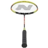 NRZ204 ALIUMINIO / BADMINTONO RINKINYS + NILS DANGAS