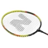 NRZ204 ALIUMINIO / BADMINTONO RINKINYS + NILS DANGAS