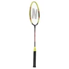 NRZ204 ALIUMINIO / BADMINTONO RINKINYS + NILS DANGAS