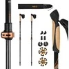 NW8613 NORDIC WALKING POLES CARBON FIBER NILS