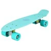 PENNYBOARD CLASSIC Žalias NILS EXTREME