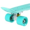 PENNYBOARD CLASSIC Žalias NILS EXTREME