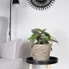 PINTŲ GĖLŲ vazono AUGALŲ DANGALIS 22CM KREPŠELIS