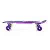 PNB01 RAINBOW ELECTROSTYLE PENNYBOARD NILS EXTREME RIEDLENTA