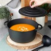 Puodas su dangteliu ketaus dujinis indukcinis kietas VILDE 26 cm 5 L
