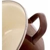 Ruda emaliuota indukcinių dujų kieta ORION 20 cm 3 L