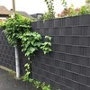Tvoros juosta 19cm X 35m grafito danga