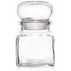 Virtuvinis indelis stiklinis indelis prieskonių indelis 120 ml