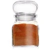 Virtuvinis indelis stiklinis indelis prieskonių indelis 120 ml