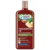 Natural World Makadaamiaõliga niisutav šampoon 500ml