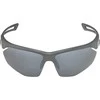 Alpina Nylos HR Sunglasses cat. 3 Pilkas