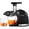AMZCHEF 1501-BK-SM slow-running juicer (juodas)