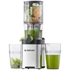 Sulčiaspaudė AMZCHEF CE-ZM1902B-SV Slow Juicer