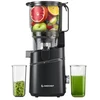 Sulčiaspaudė AMZCHEF SJ-036CBK Slow Juicer (Juodas)