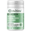 ANIFORTE Tick shield Large breeds - supplements for dogs - 60 tablets