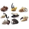 Dėlionė Jokomisiada Archaeology Kit Dig Up a Surprise Fossilized Leaves and Bones ZA5753
