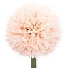 Dirbtinė šakelė Atmosphera Pompom. 60 cm